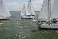 IMG_2024-500