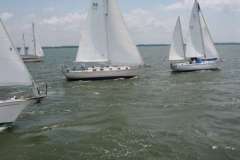 IMG_2025-500