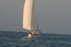 IMG_2894-500