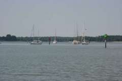 IMG_2949-500
