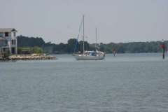 IMG_2950-500