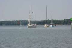 IMG_2951-500