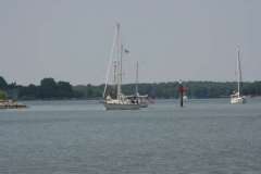 IMG_2952-500