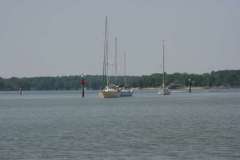 IMG_2955-500