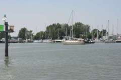 IMG_2960-500