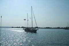 Plover-inbound-500